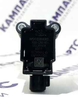 Катушка зажигания 1000264408 WOODWARD