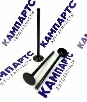 Клапан выпускной 612630050075